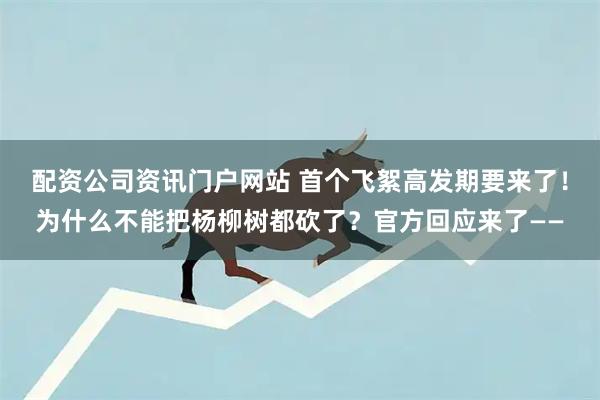 配资公司资讯门户网站 首个飞絮高发期要来了！为什么不能把杨柳树都砍了？官方回应来了——