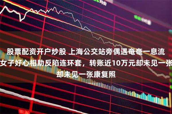 股票配资开户炒股 上海公交站旁偶遇奄奄一息流浪猫，女子好心相助反陷连环套，转账近10万元却未见一张康复照